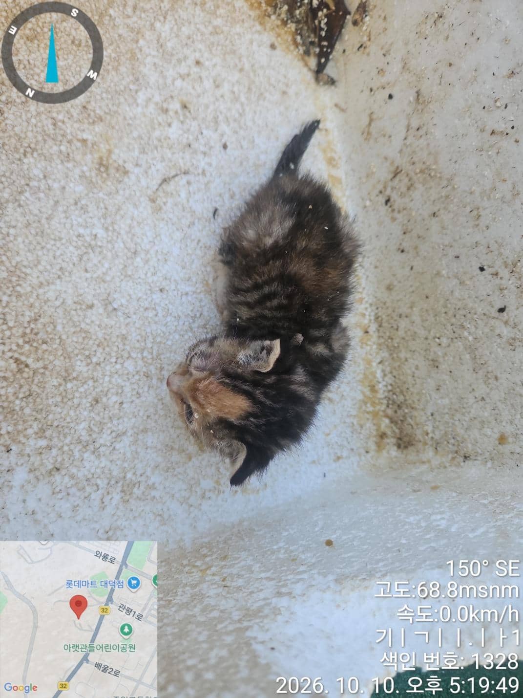 기타, 성별 확인 중 · 생후 2개월 미만 · 0.15kg